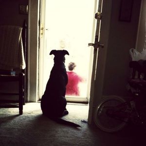 Meet your Posher, William